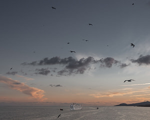 Dove tramonta il mare_Davide Bertuccio_17